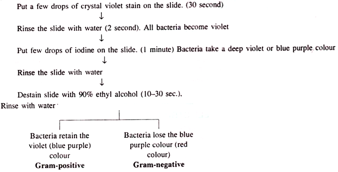 Gram Positive and Negative