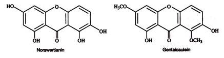 Norswertianin and Gentaicaulein