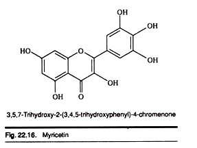 Myricetin