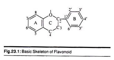 Basic Skeleton of Flavonoid