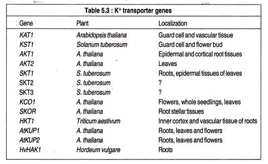 Table: K+ Transporter Genes