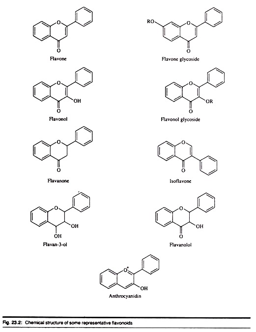 Chemical Structure of Some Representative Flavonoids