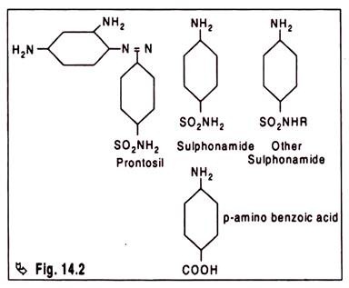 A large number of sulphonamides molecules are required in the competitive inhibition 