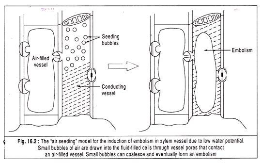 'Air Seeding' Model for the Induction of Embolism