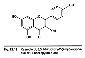 Kaempferol