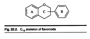 C15 Skeleton of Flavonoids