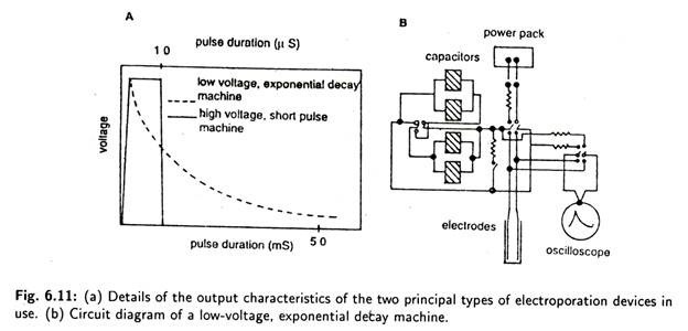 Details of the output characteristics of the two principal types of electroporation devices in use