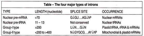 The four major types of introns