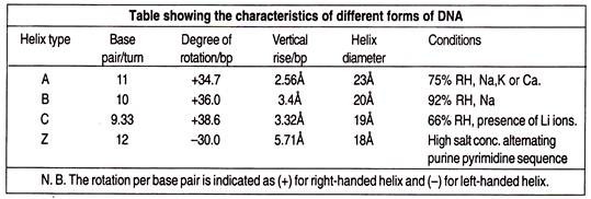 Characteristics of different forms of DNA