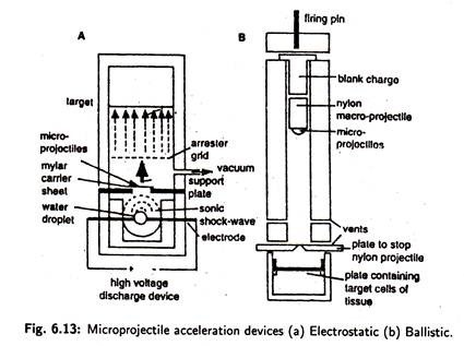 Micro-Projectiles accelaration devices