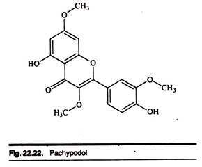 Pachypodol