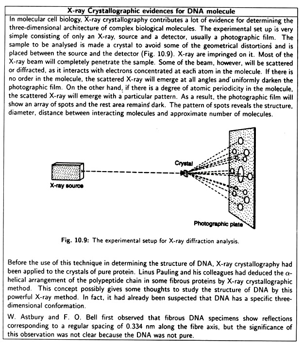 X-ray Crystallographic Evidences