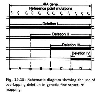 Use of Overlapping Deletion