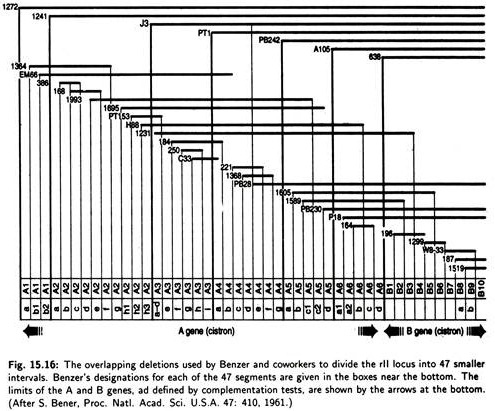 Overlapping Deletions