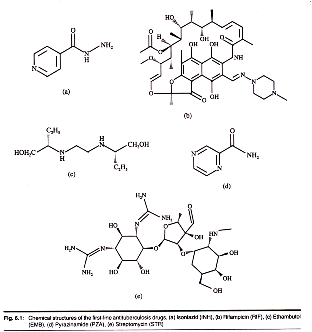 Chemical structure of the first-line antituberculosis drugs