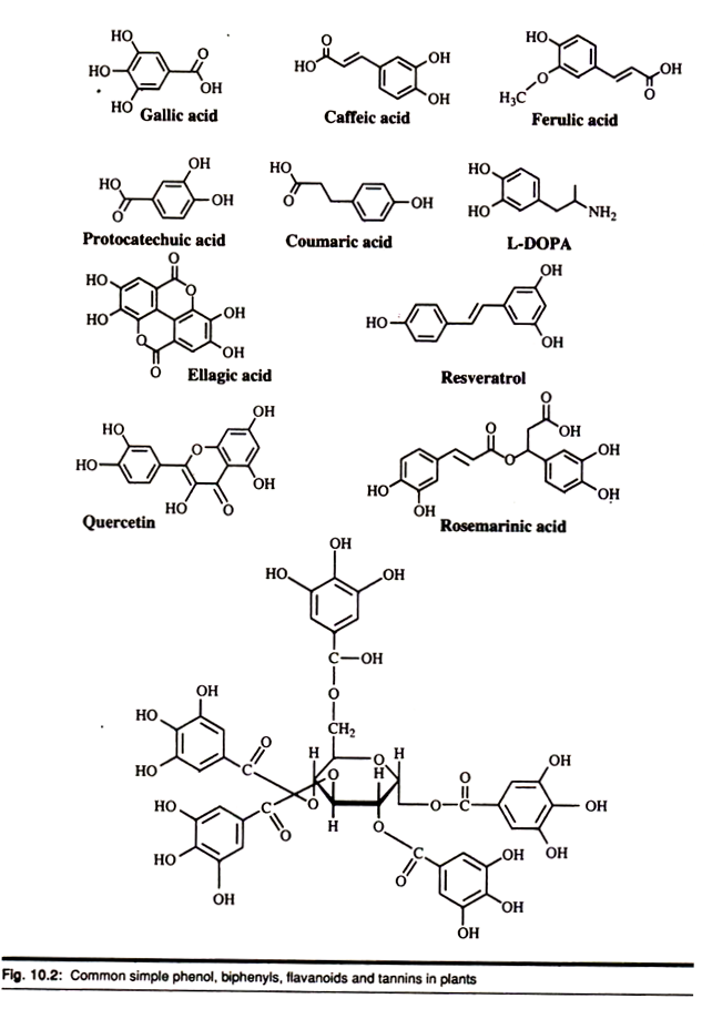 Common Simple Phenol, Biphenyls, Flavanoids and Tannins Plants