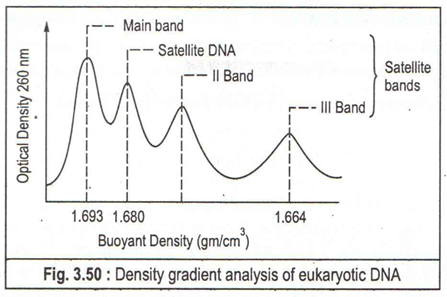 Density gradient analysis of eukaryotic DNA