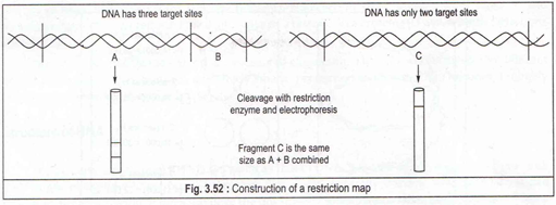 Construction of a restriction map