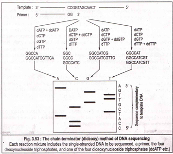 The chain-terminator (dideoxy) method of DNA sequencing