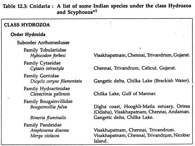 Cnidaria: A list of some Indian species under the class hydrozoa and scyphozoa