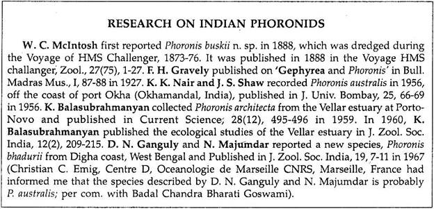 Research on Indian Phoronids