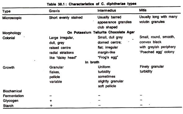 Characteristics of C. Diphtheriae Types