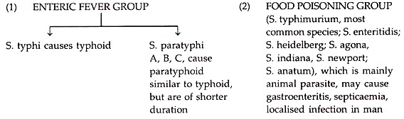 Enteric Fever Group and Food Poisoning Group