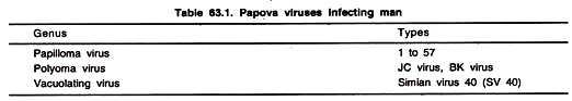 Papova Viruses Infecting Man