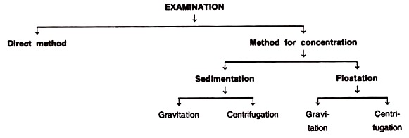 Examination