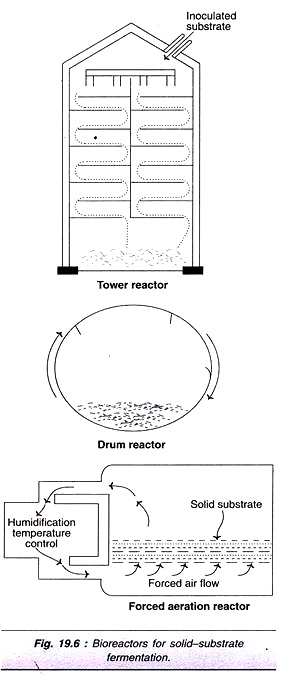 Types of Embryo Sac