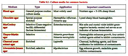 Culture Media for Common Bacteria