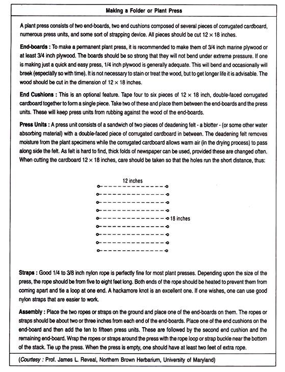 Making a Folder or Plant Press