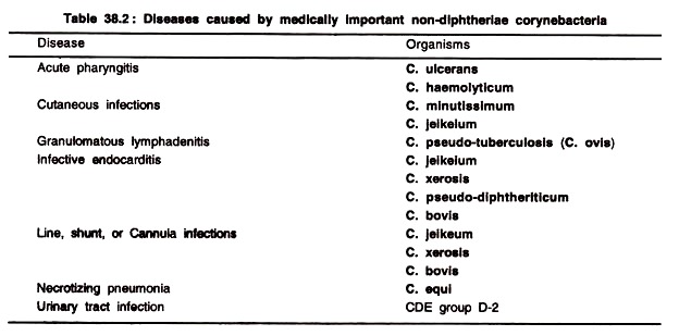 Diseases Caused by Medically Important Non-Diphtheriae Corynebacteria