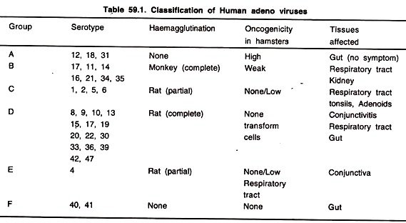 Classification of Human Adeno Viruses