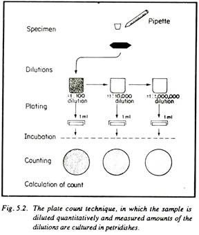 Plate Count Technique