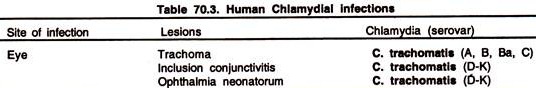 Human Chlamydial Infections