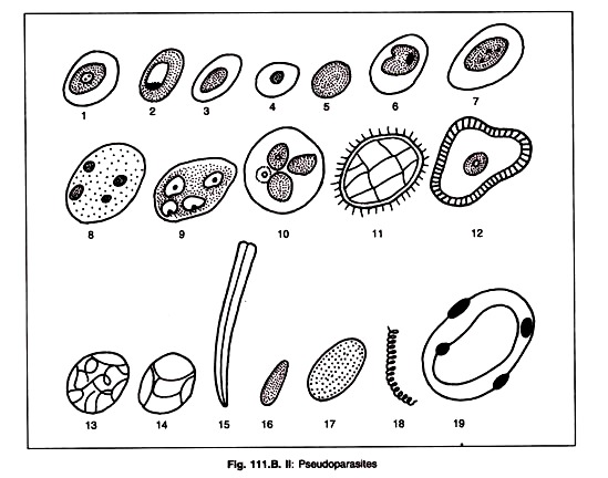 Pseudoparasites