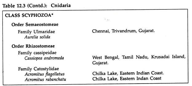 Cnidaria: A list of some Indian species under the class hydrozoa and scyphozoa