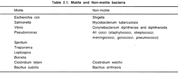 Motile and Non-Motile Bacteria