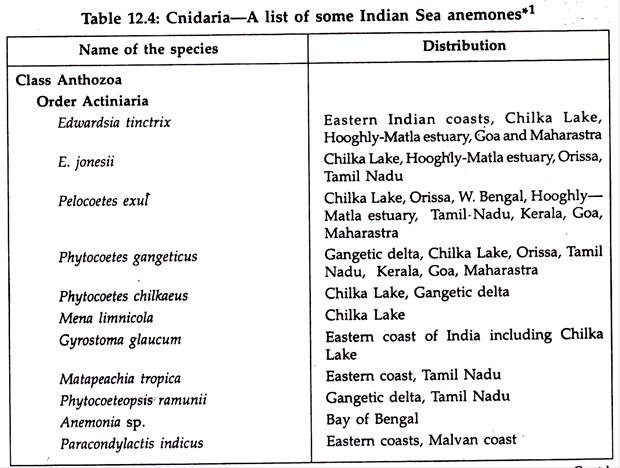 Cnidaria: A list of some Indian Sea anemones