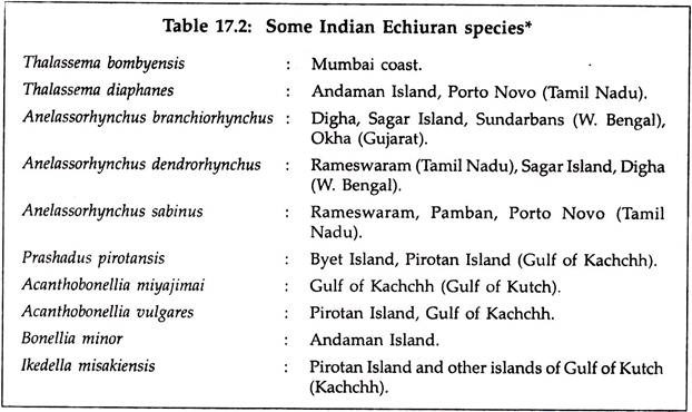 Some Indian Echiuran species