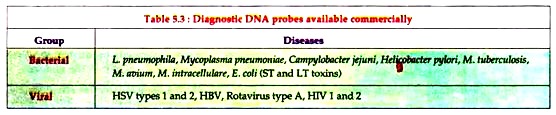 Diagnostic DNA Probes