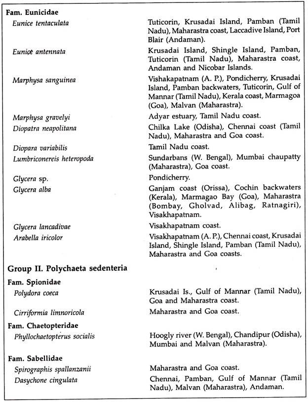 Some polychaetes from Indian Coasts
