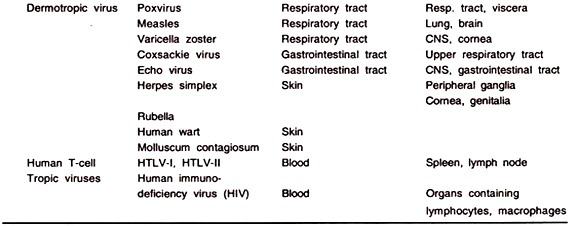 Virus Groups and their Target Organs in Man