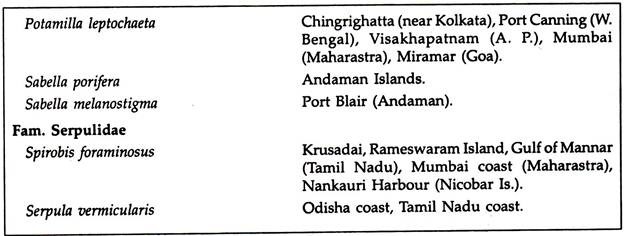 Some polychaetes from Indian Coasts