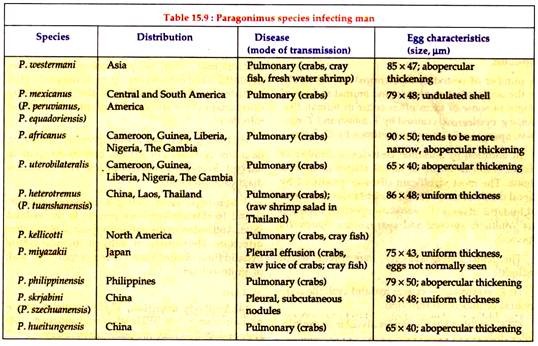 Paragonimus Species Infecting Man