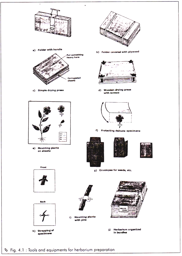 Tools and Equipment's for Herbarium Preparation