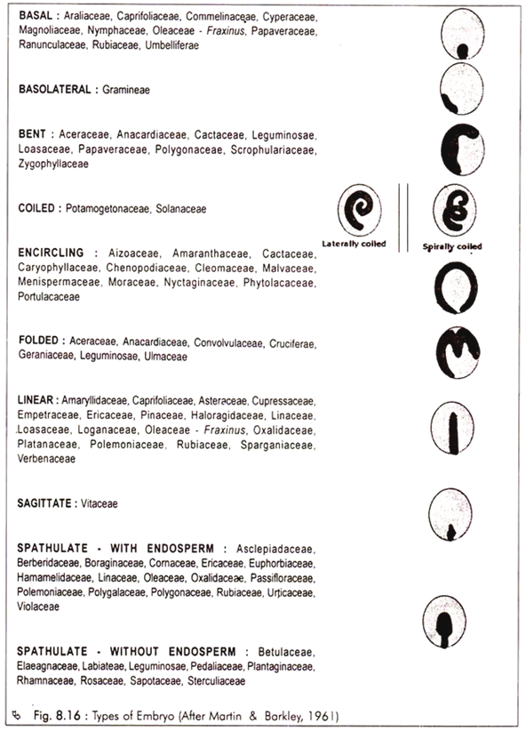 Types of Embryo