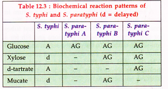 Biochemical reaction patterns of S.typh and S. partyphi