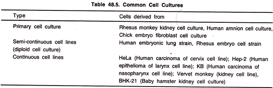 Common Cell Cultures